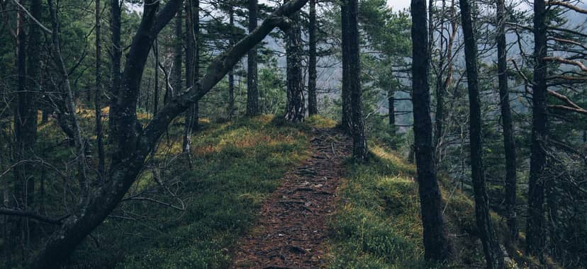 Unauth title nfrMlAGF